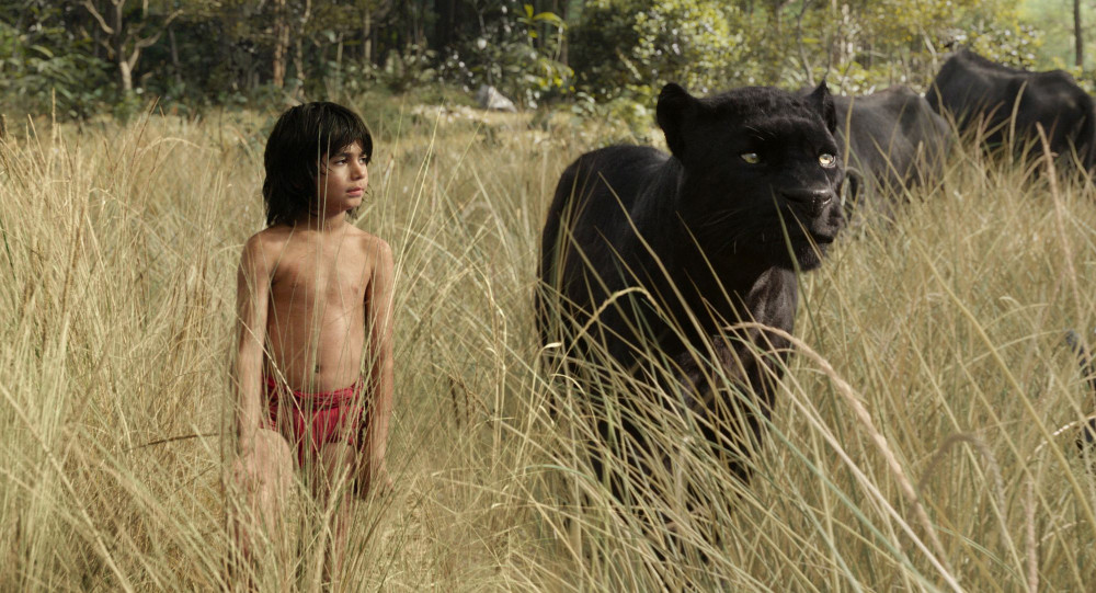 Freshbox Magazin - The Jungle Book Wettbewerb