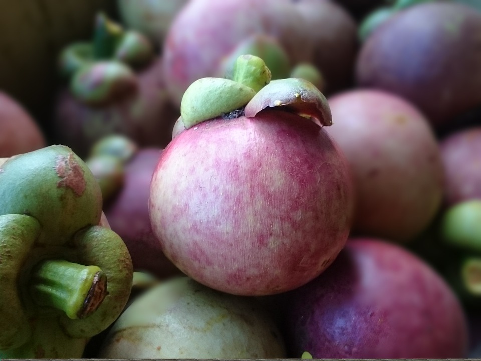 Mangostan | Magazin Freshbox